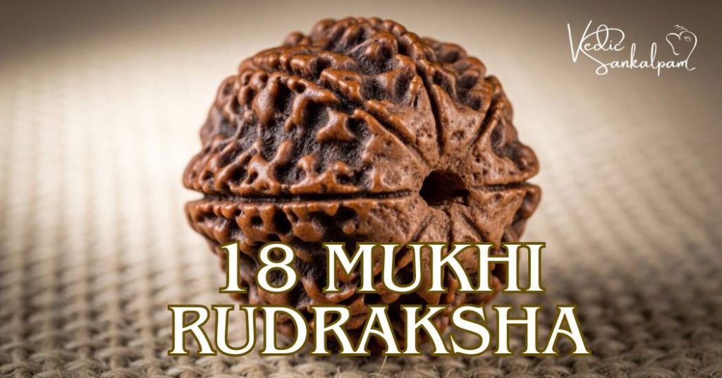 18 Mukhi Rudraksha